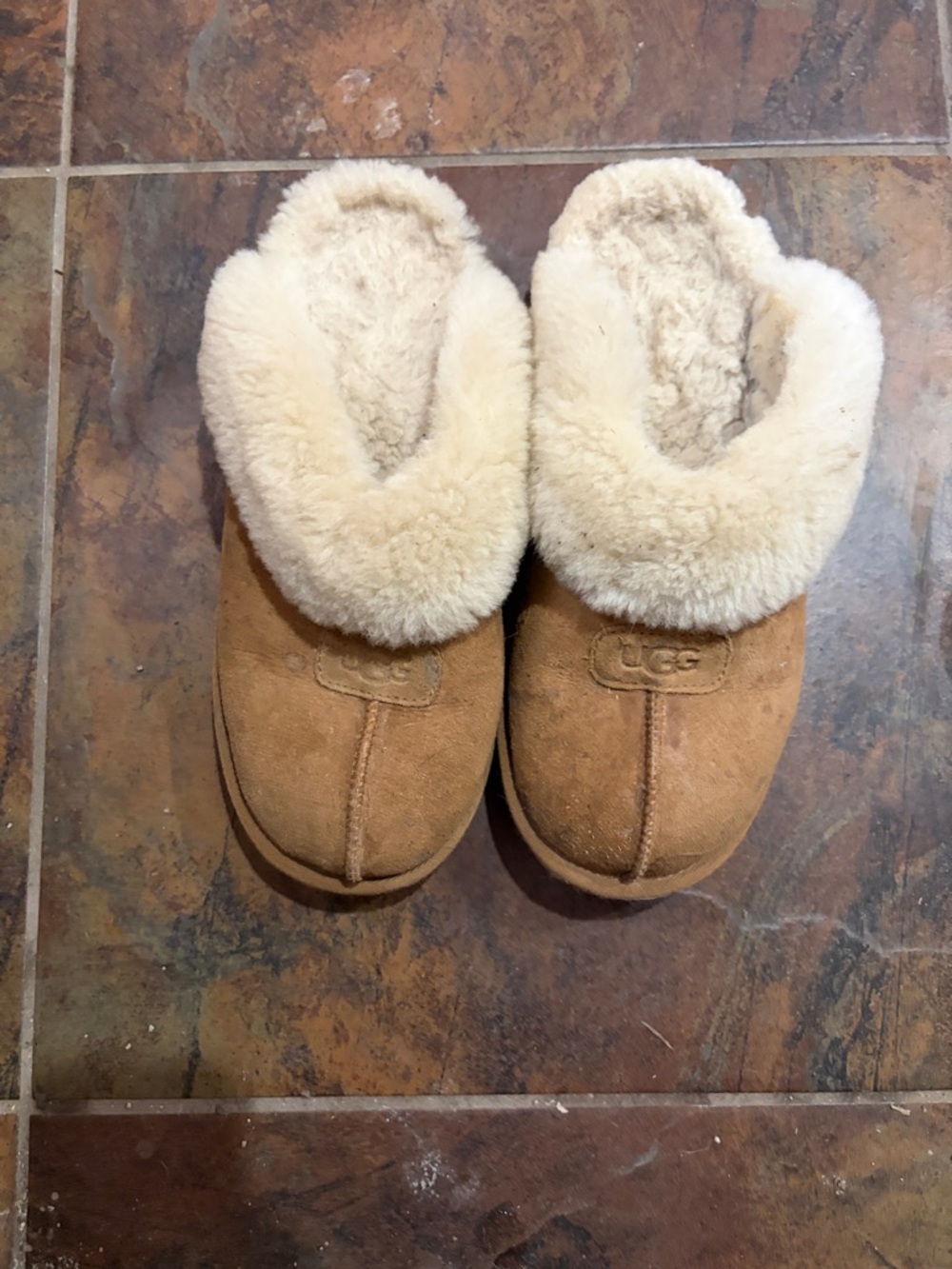 Ugg slippers